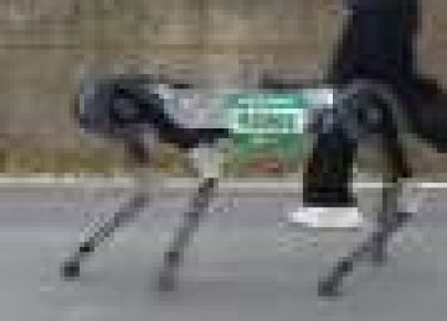 robot-dog-runs-a-marat